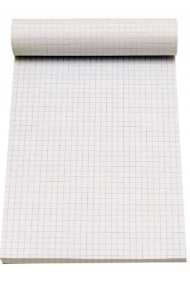 BLOK BIUROWY A5 100 kratka 5 szt.