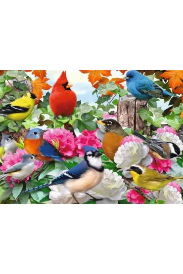 Puzzle 500 el. 2D Ptaki ogrodowe Ravensburger