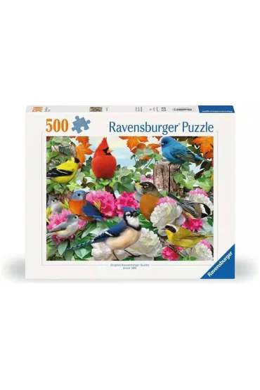 Puzzle 500 el. 2D Ptaki ogrodowe Ravensburger