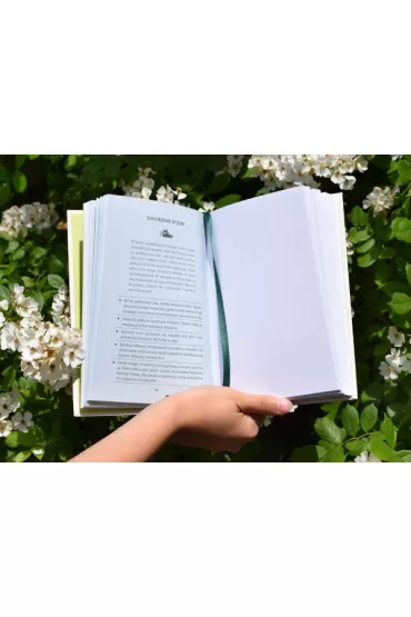 Pieszo i beztrosko. O sztuce spacerowania - Bonnie Smith  Whitehouse