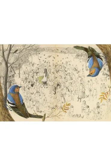 Dzikie �ab�dzie - Hans Christian Andersen