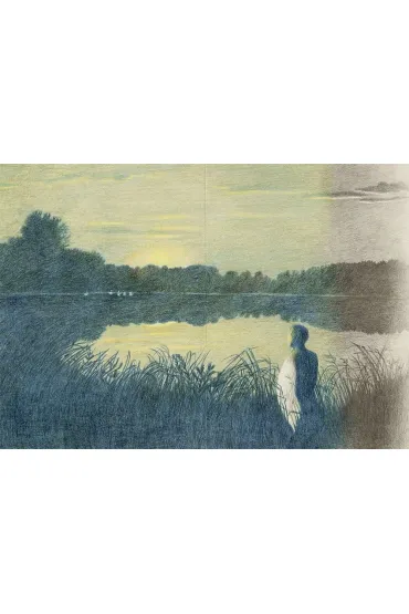 Dzikie �ab�dzie - Hans Christian Andersen