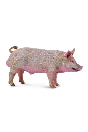 Knur