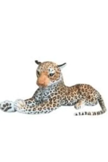 Gepard le��cy 60cm Dubi