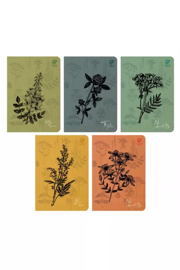 Elanders Zeszyt A5 64 kartki linia pojedyncza Herbs 10szt