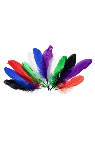 Brewis Pi�rka g�sie jaskrawe 15-20cm