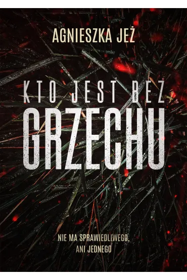 Kto jest bez grzechu - Agnieszka Je�