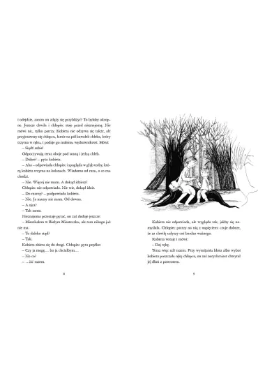 O ch�opcu, kt�ry szuka� domu - Irena Jurgielewiczowa