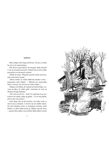 O ch�opcu, kt�ry szuka� domu - Irena Jurgielewiczowa