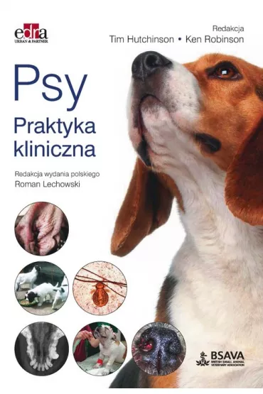 Psy. Praktyka kliniczna - Ken Robinson, Tim Hutchinson