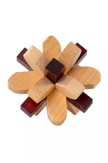 Parietal Lobe - �amig��wka Recent Toys poziom 4/5 G3