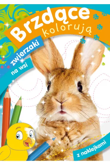 Brzd�ce koloruj� zwierzaki na wsi - Zofia  Zabrzeska