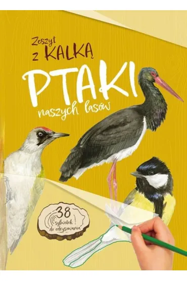 Ptaki naszych las�w - Katarzyna Kopiec-Sekieta