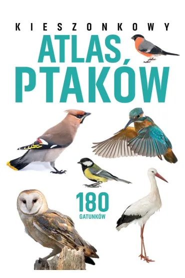 Kieszonkowy atlas ptak�w. 180 gatunk�w - Jan  Kr�l