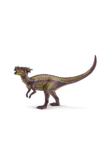 Dracorex