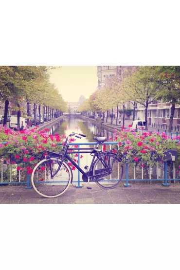Amsterdam Wiosn� Rower w�r�d Kwiat�w - plakat 70x50 cm
