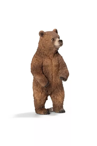 Nied�wiedzica grizzly