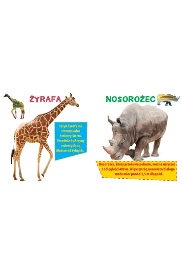Weso�e zoo