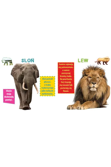 Weso�e zoo