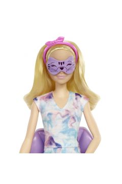 Barbie Domowe Spa Maseczka na twarz Zestaw + lalka HCM82 Mattel