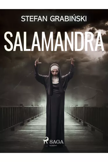 eBook Salamandra mobi epub - Stefan Grabiski