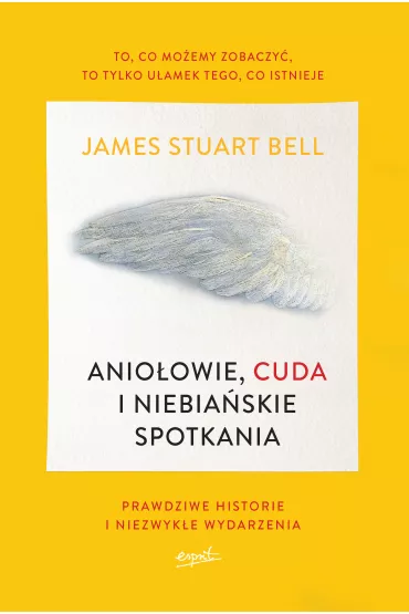 Anio�owie, cuda i niebia�skie spotkania - James Stuart Bell