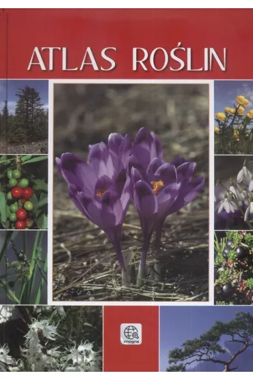 Imagine Atlas ro�lin - Renata Krzy�ciak-Kosi�ska
