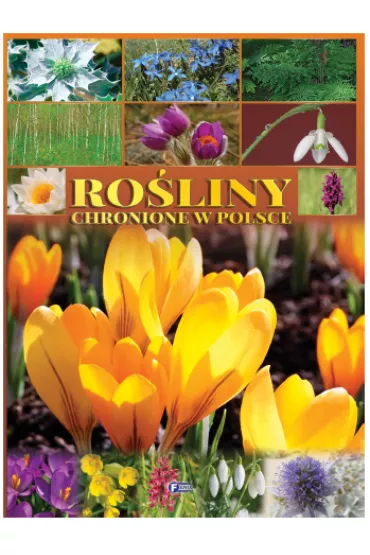 Ro�liny chronione w Polsce