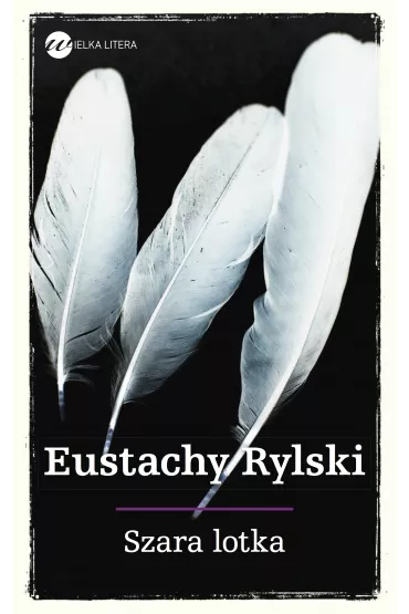 Szara lotka - Eustachy Rylski
