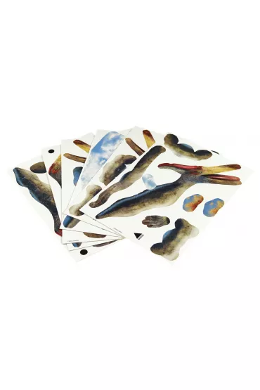 Puzzle 3D 43 el. Dinozaury - Pteranodon Educa