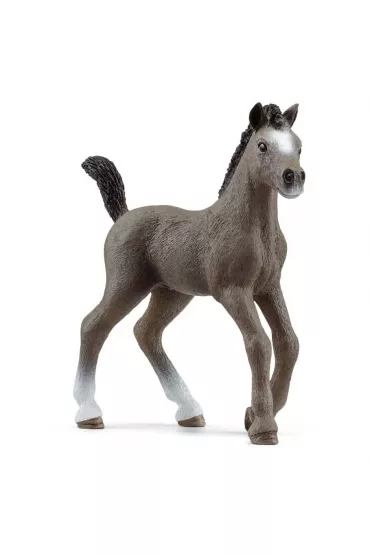 �rebak Rasy Cheval de Selle Francais SLH13957