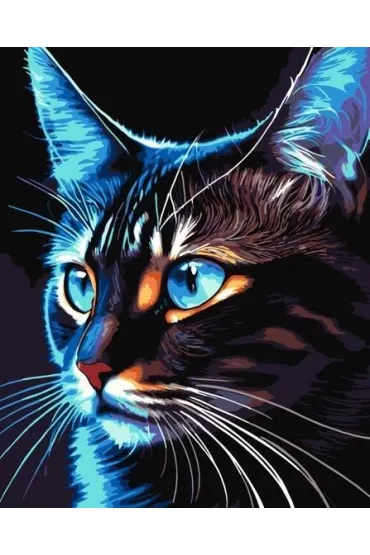 Qbee Malowanie po numerach - Cosmo-cat 40x50cm