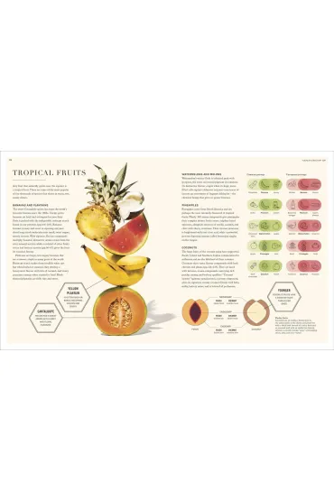 Science of Flavour - Stuart  Farrimond