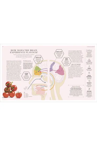Science of Flavour - Stuart  Farrimond