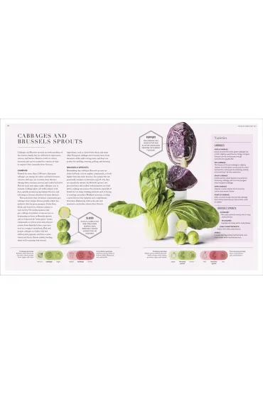 Science of Flavour - Stuart  Farrimond