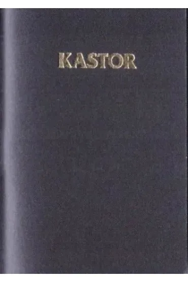 Kalendarz 2026 Kastor plastik