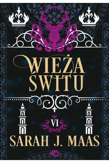 Wie�a �witu. Szklany Tron. Tom 6 - Sarah J. Maas