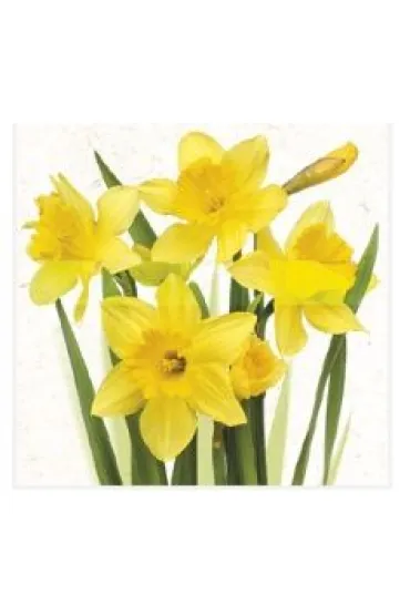 Serwetka Lunch Bunch of Yellow Daffodils SDWI003901