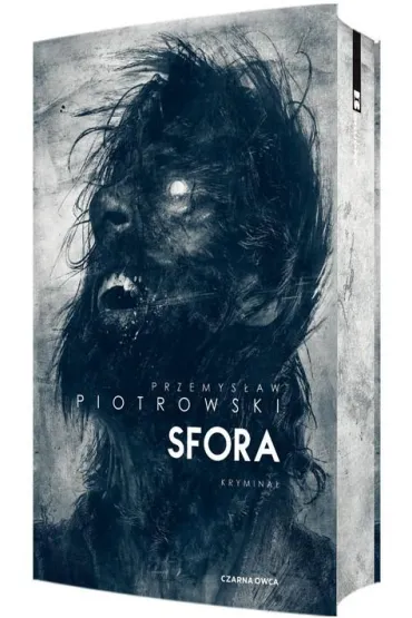 Sfora. Igor Brudny. Tom 2 (barwione brzegi) - Przemys�aw Piotrowski