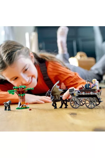 LEGO Harry Potter Testrale i kareta z Hogwartu 76400
