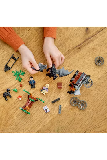 LEGO Harry Potter Testrale i kareta z Hogwartu 76400