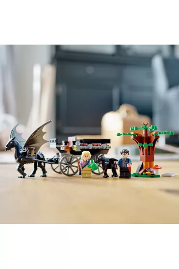 LEGO Harry Potter Testrale i kareta z Hogwartu 76400