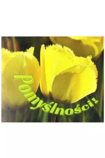 Pomy�lno�ci. Pere�ka