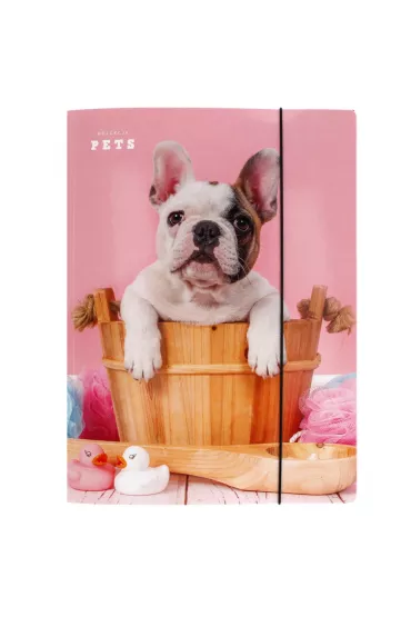 Pan Dragon Teczka z gumk� A4 Pets NR18 P-DR 970349