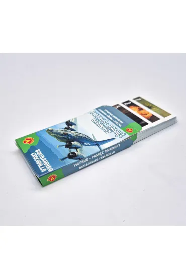 Karty do gry Piotru� Brainrot Bombardiro Crocodilo ALEXANDER 3152
