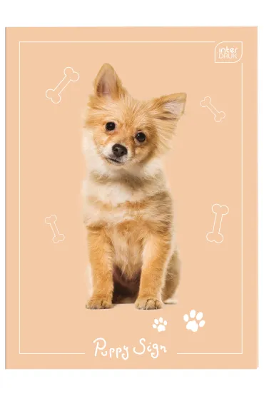 Interdruk Zeszyt do s��wek A6 70g UV Puppy Sign kratka 32 kartki