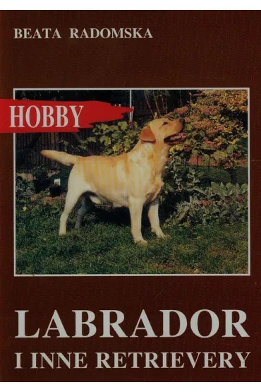 Labrador i inne retrievery - Beata Radomska