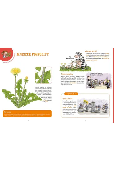 Niez�e zi�ka - Alain Pontoppidan, Guillemette Resplandy-Tai, Lionel Hignard