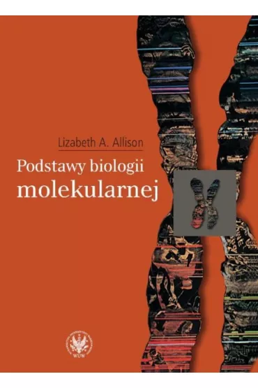 Podstawy biologii molekularnej - Lizabeth A. Allison