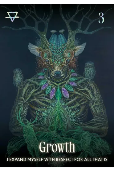 Shamanic Oracle, karty do wr�enia
